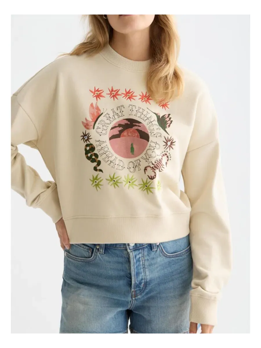 Свитшот свободного кроя с вышивкой Great Things Ahead of You SCOTCH & SODA — изображение 1 из 6, туманный