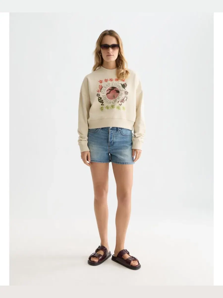 Свитшот свободного кроя с вышивкой Great Things Ahead of You SCOTCH & SODA — изображение 2 из 6, туманный