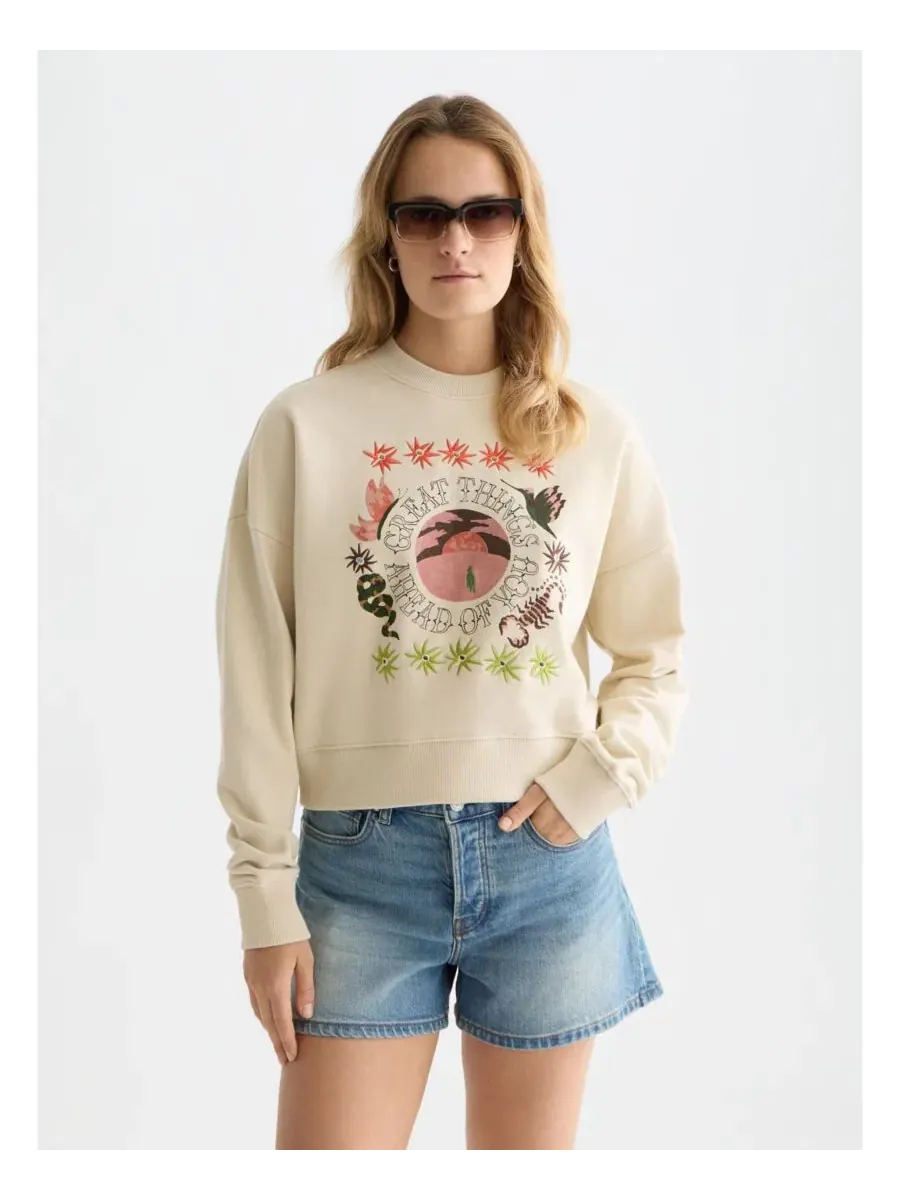 Свитшот свободного кроя с вышивкой Great Things Ahead of You SCOTCH & SODA — изображение 4 из 6, туманный
