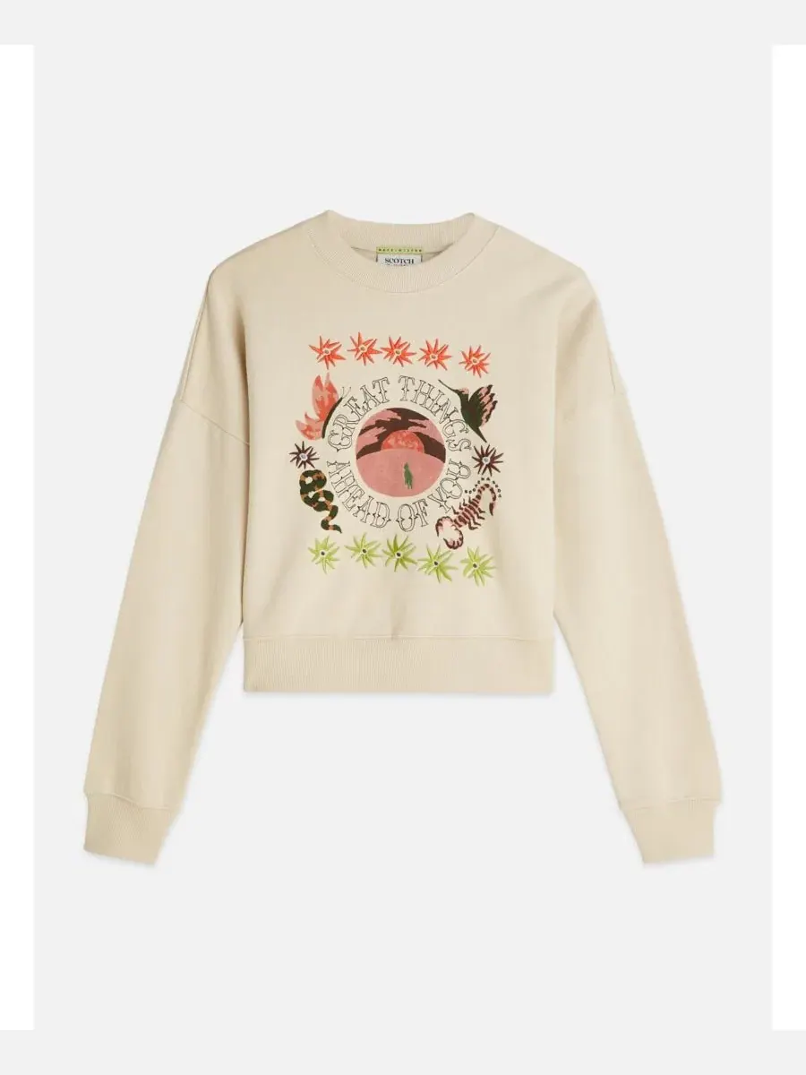 Свитшот свободного кроя с вышивкой Great Things Ahead of You SCOTCH & SODA — изображение 5 из 6, туманный