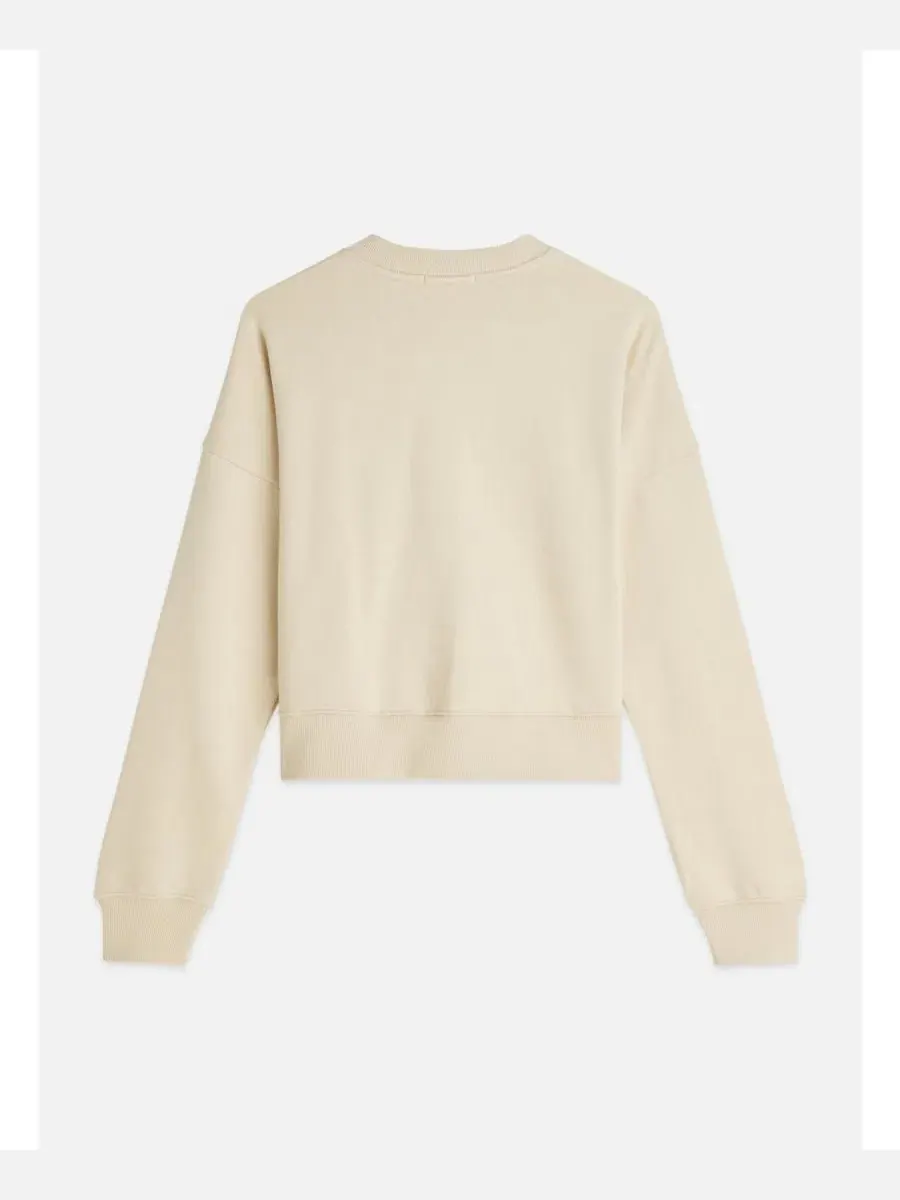 Свитшот свободного кроя с вышивкой Great Things Ahead of You SCOTCH & SODA — изображение 6 из 6, туманный