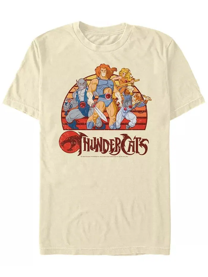 Мужская футболка Thundercats Group Retro Sunset с коротким рукавом Fifth Sun — изображение 1 из 1, прозрачный