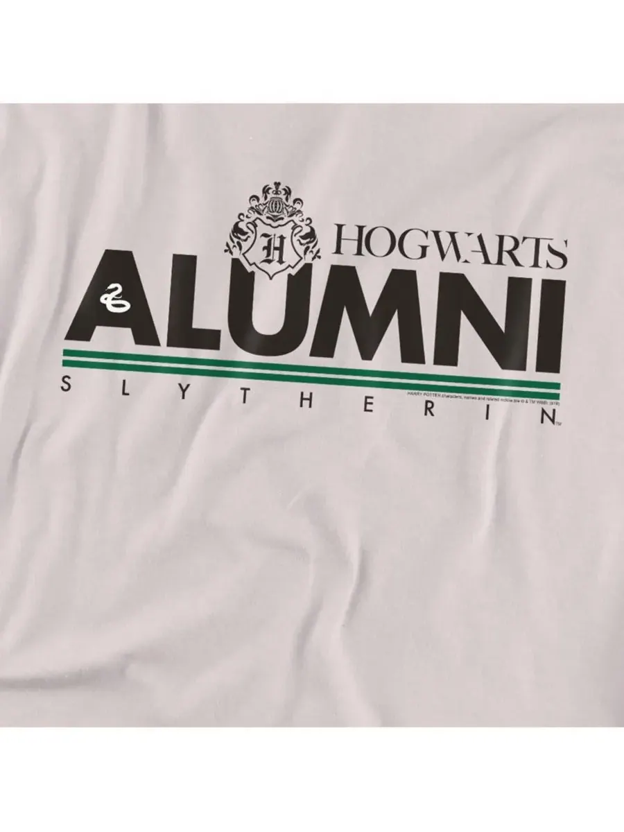 Мужская футболка выпускника Слизерина Harry Potter — изображение 2 из 3, серебряный