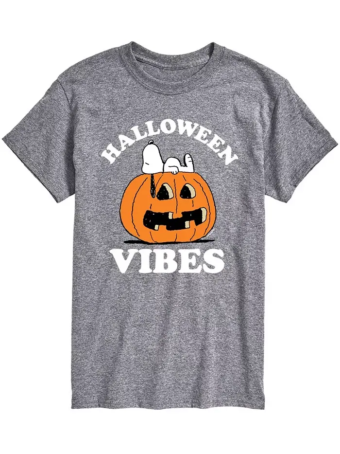 Мужская футболка Peanuts Halloween Vibes AIRWAVES — изображение 1 из 2, серый