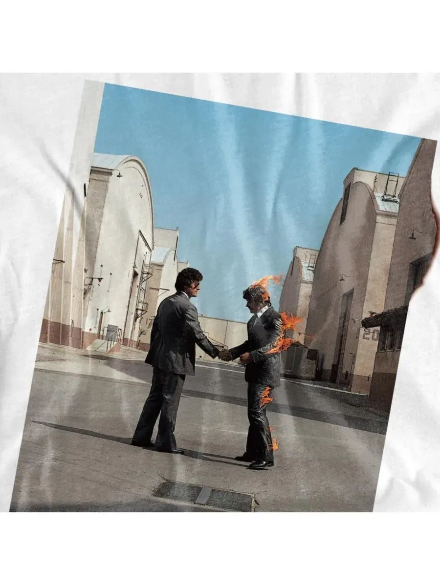 Футболка с принтом Wish You Were Here Pink Floyd — изображение 3 из 3, белый