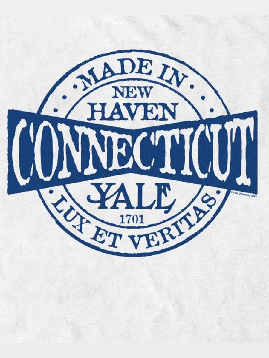 Футболка с графическим принтом Yale University Made in New Haven Connecticut Established 1701 Fifth — изображение 3 из 3