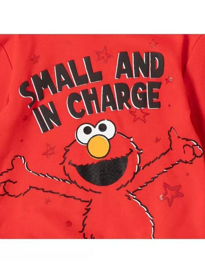 Флисовый пуловер с капюшоном и штанами Elmo Cookie Monster Boy, комплект одежды для малышей Sesame — изображение 3 из 7