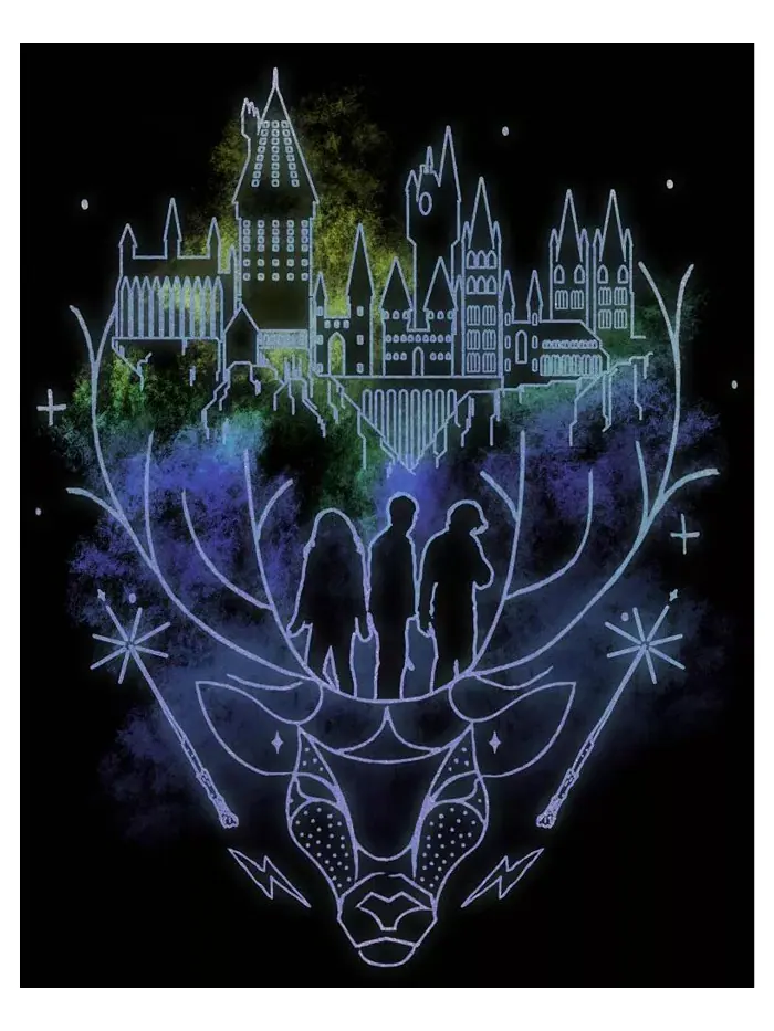 Мужская черная футболка Hogwarts Patronus Line Art - Medium Harry Potter — изображение 2 из 4, черный