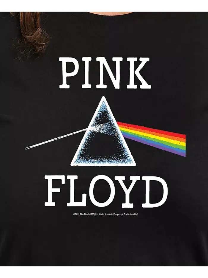 Футболка-пуловер с принтом Pink Floyd больших размеров Hybrid Apparel — изображение 2 из 3, черный