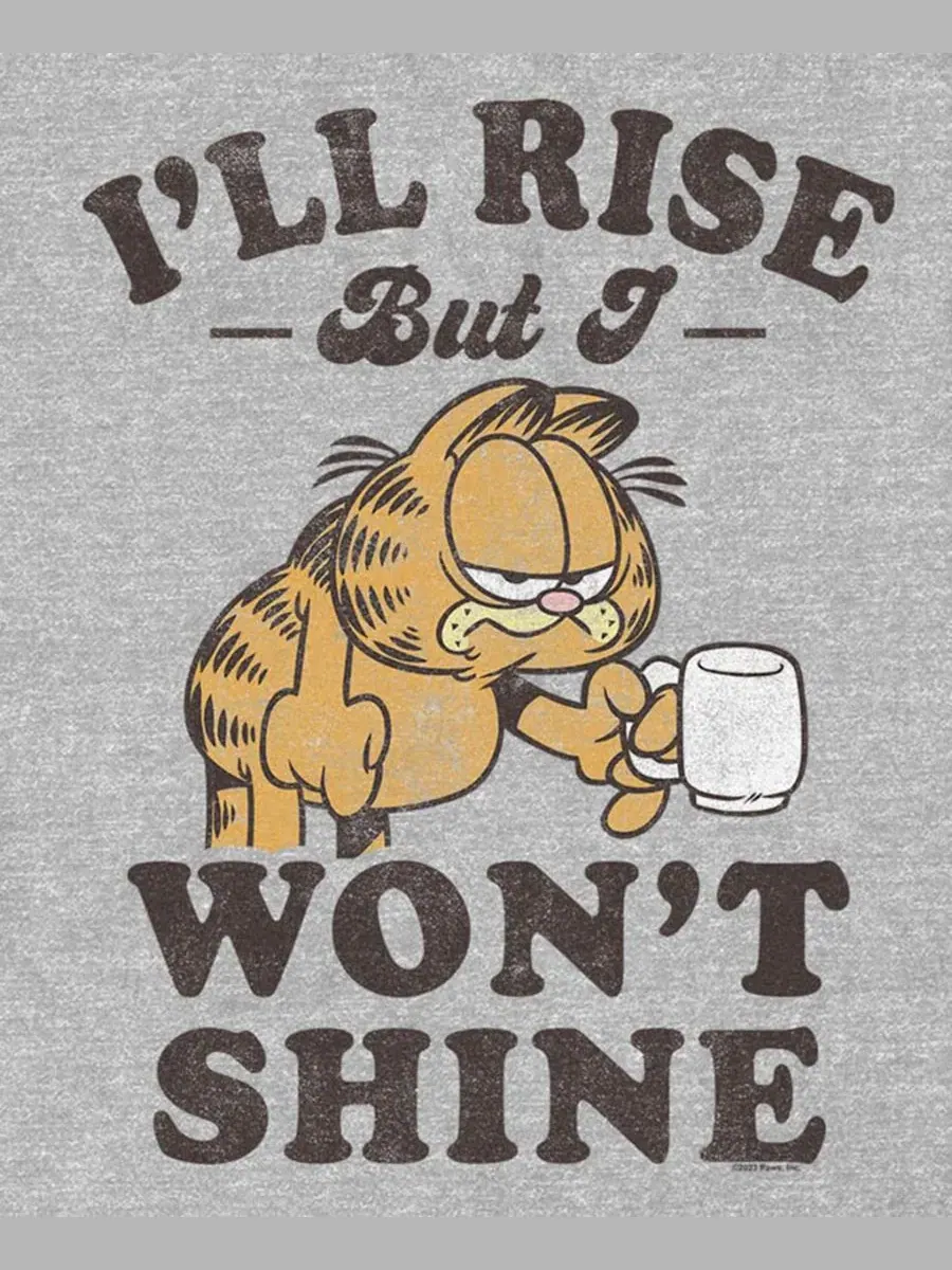 Футболка с принтом Garfield Wont Shine Fifth Sun — изображение 3 из 3, серый