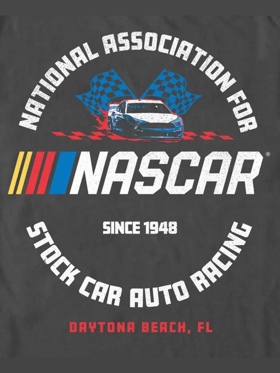 Футболка с графическим принтом Nascar Logo Flag Fifth Sun — изображение 3 из 3, темно-серый