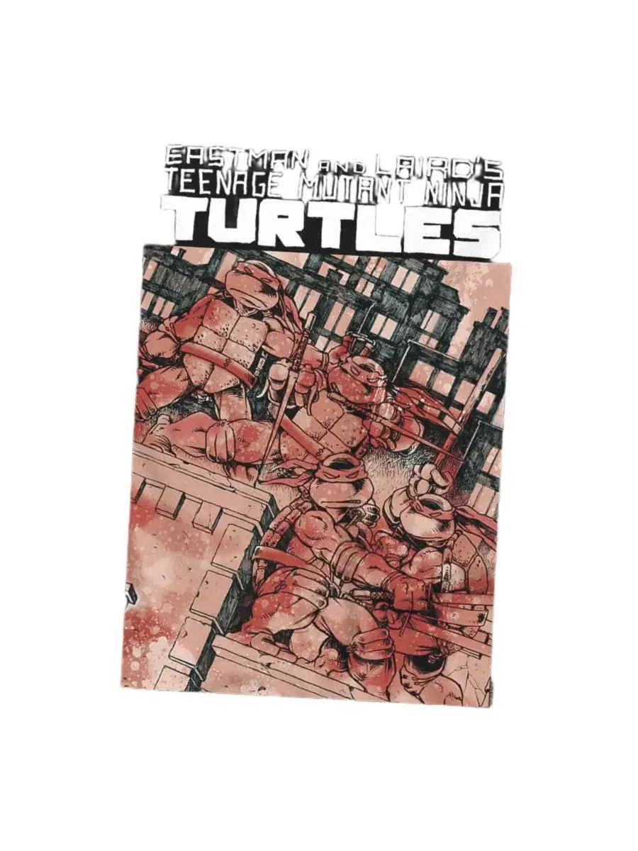 Футболка с принтом City Cover Teenage Mutant Ninja Turtles — изображение 3 из 3, черный