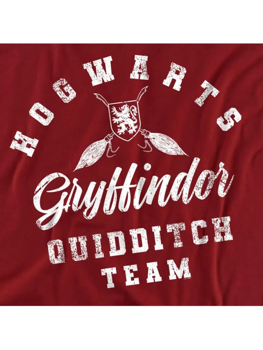 Мужская футболка Гриффиндора для квиддича Harry Potter — изображение 2 из 3, красный