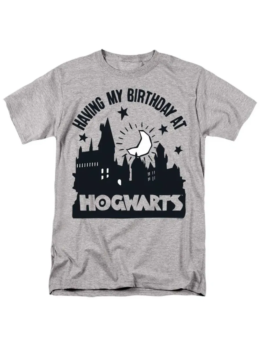 Футболка с принтом Birthday At Hogwarts Harry Potter — изображение 1 из 3, приглушенный