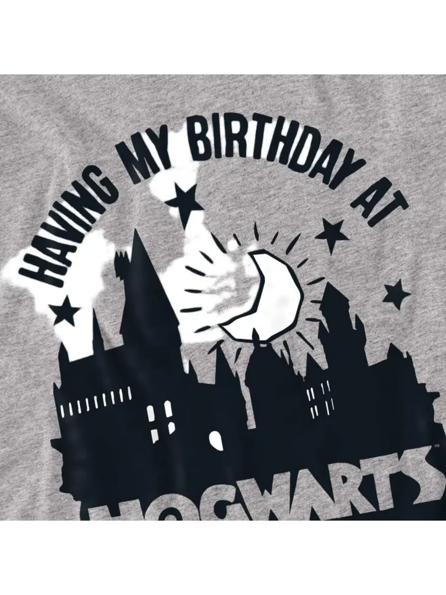 Футболка с принтом Birthday At Hogwarts Harry Potter — изображение 2 из 3, приглушенный