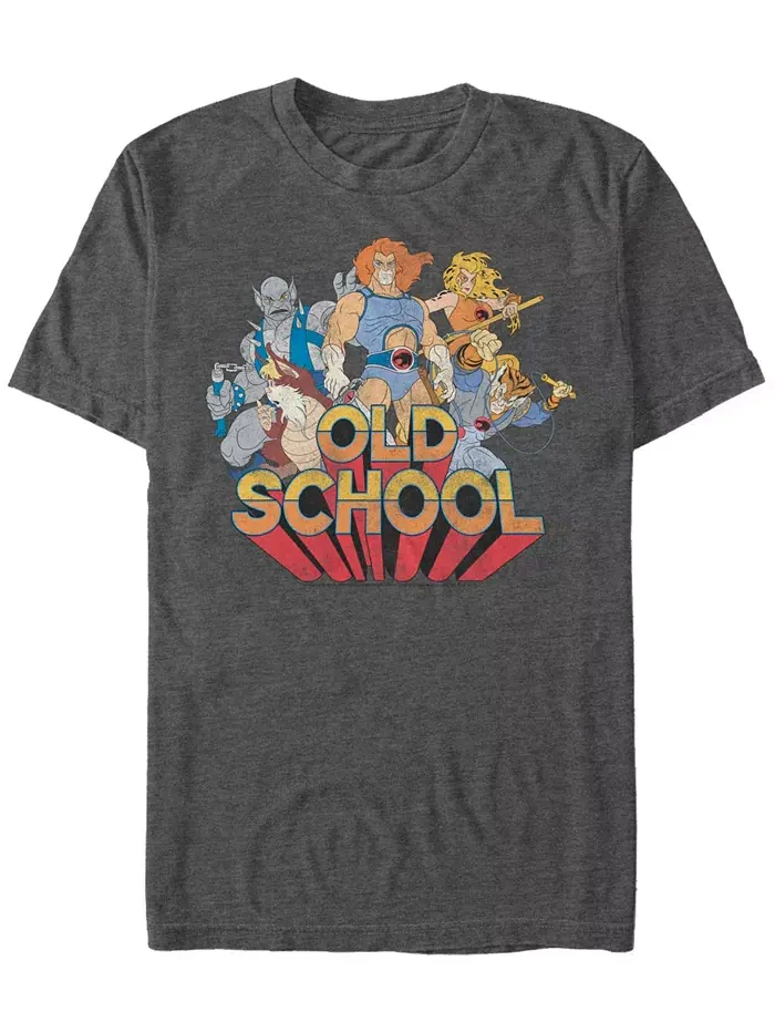 Мужская футболка с коротким рукавом Thundercats Old School Fifth Sun — изображение 1 из 1, темно-серый