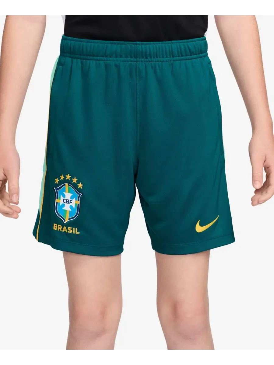 Спортивные шорты с застежкой-молнией и технологией Dri-FIT Nike Brazil Academy Pro — изображение 2 из 4, зеленый