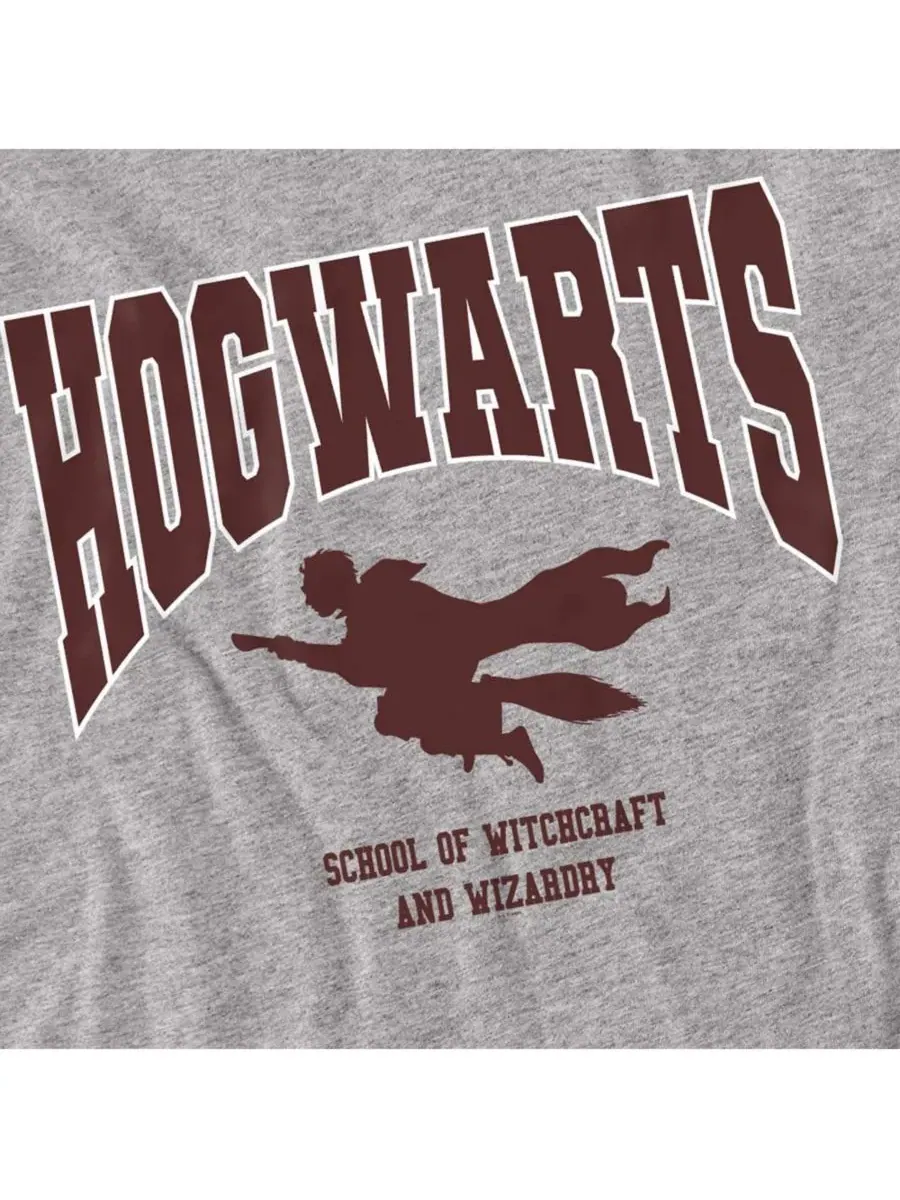 Мужская футболка с изображением летающего Хогвартса Harry Potter — изображение 2 из 3, приглушенный