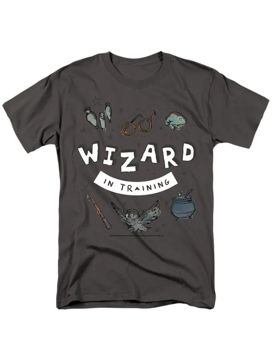 Футболка с принтом Wizard In Training Harry Potter — изображение 1 из 3, серый