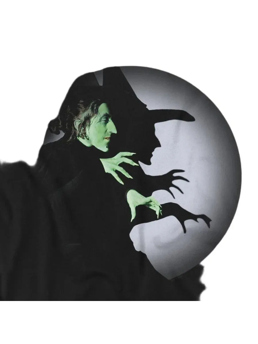 Футболка с длинным рукавом The Wicked Witch Spotlight Wizard Of Oz — изображение 3 из 3, черный
