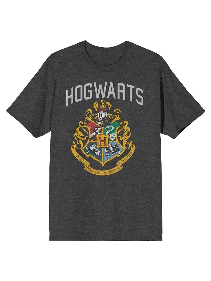 Мужская футболка с гербом Хогвартса, цвет угольный вереск, размер XXL Harry Potter — изображение 1 из 4