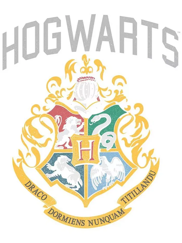 Мужская футболка с гербом Хогвартса, цвет угольный вереск, размер XXL Harry Potter — изображение 2 из 4
