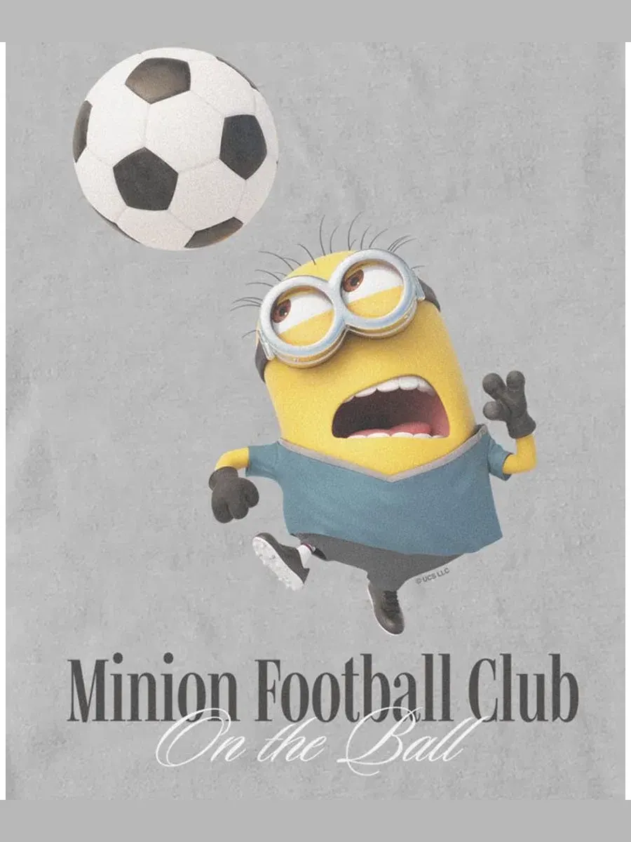 Футболка мужская с принтом Minions One In A Minion Fifth Sun — изображение 3 из 3, серый