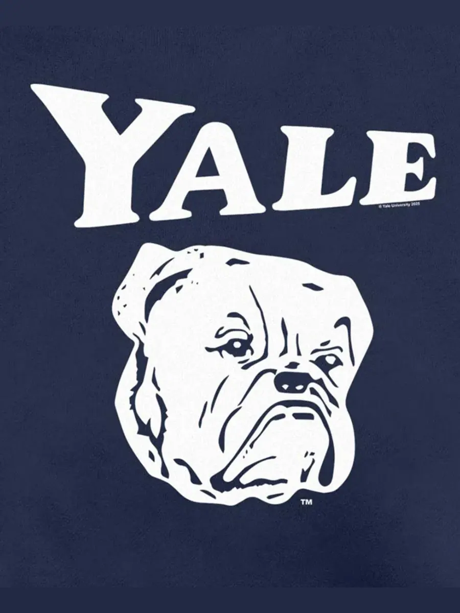 Свитшот с графическим логотипом Yale Bulldogs Fifth Sun — изображение 3 из 3, темно-синий