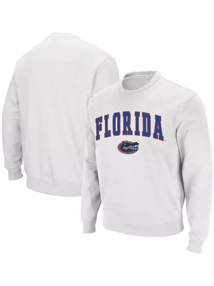 Мужская толстовка с круглым вырезом Florida Gators Arch Logo Colosseum — изображение 1 из 7, белый