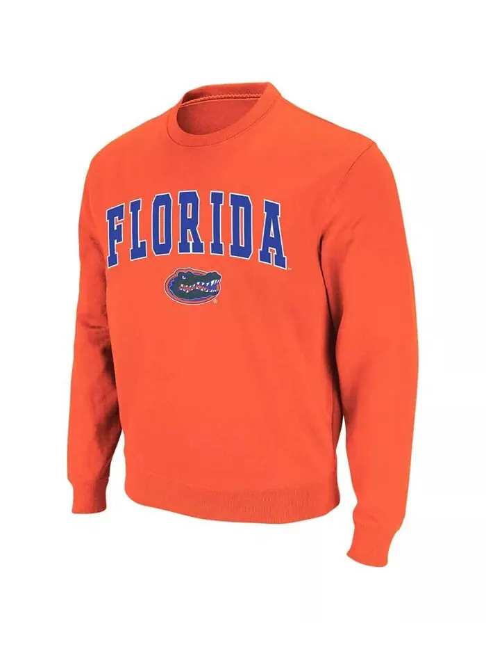 Мужская толстовка с круглым вырезом Florida Gators Arch Logo Colosseum — изображение 5 из 7, белый