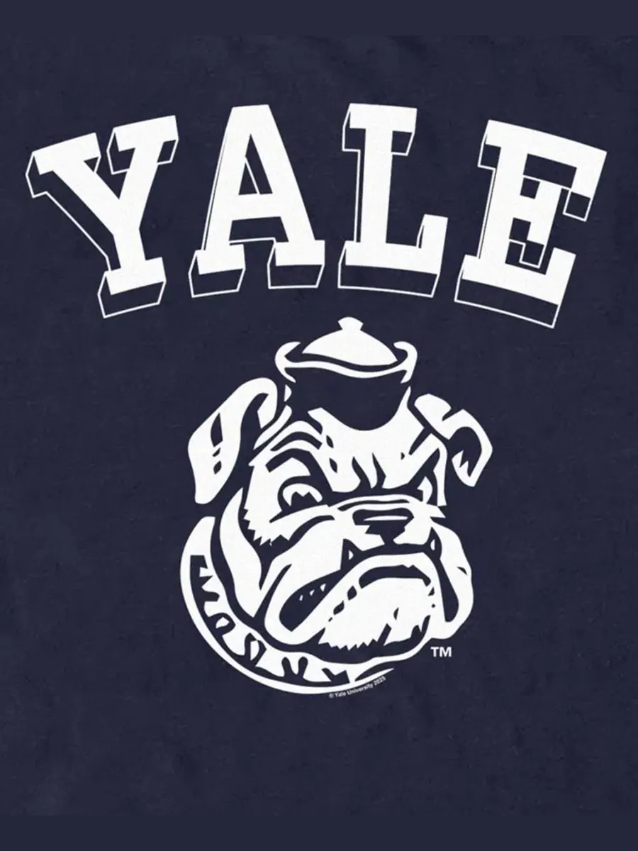 Мужская футболка с графическим принтом Yale Bulldogs Mascot Fifth Sun — изображение 3 из 4, темно-синий