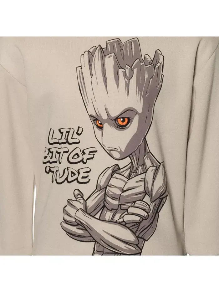 Толстовка с капюшоном Guardians of the Galaxy Groot из флиса Marvel — изображение 5 из 5, тауп