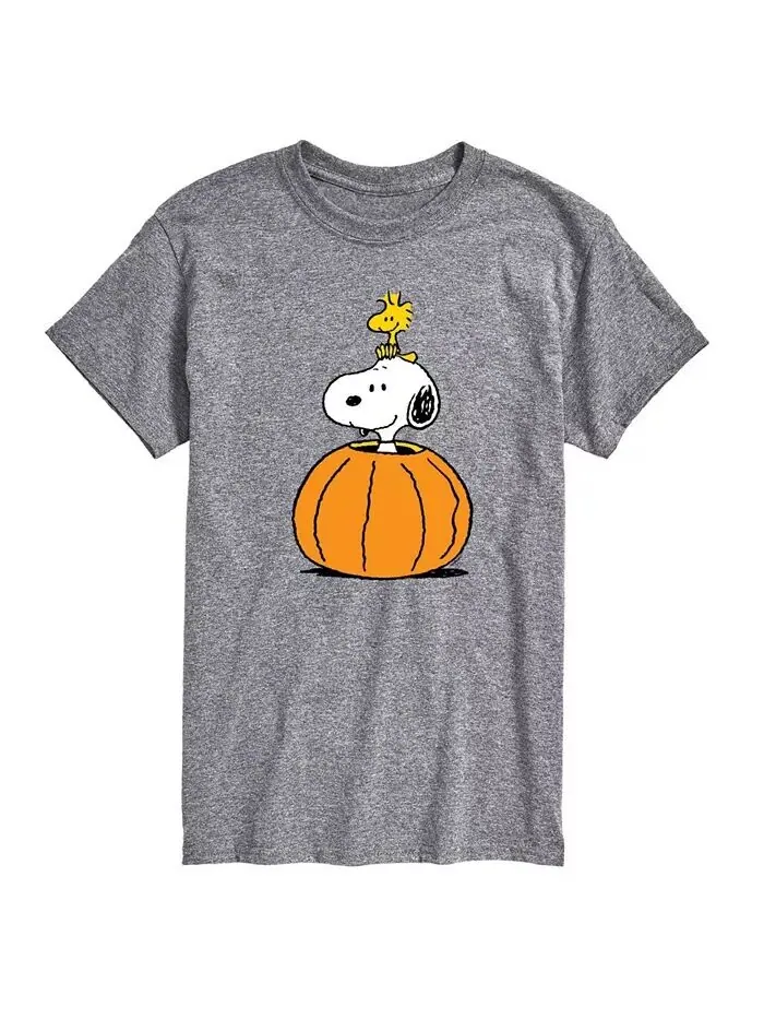 Мужская футболка с коротким рукавом Hybrid Apparel Peanuts Pumpkin AIRWAVES — изображение 1 из 3, серый