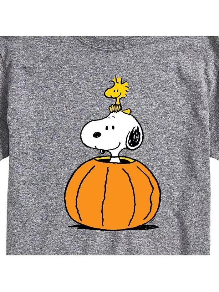Мужская футболка с коротким рукавом Hybrid Apparel Peanuts Pumpkin AIRWAVES — изображение 3 из 3, серый