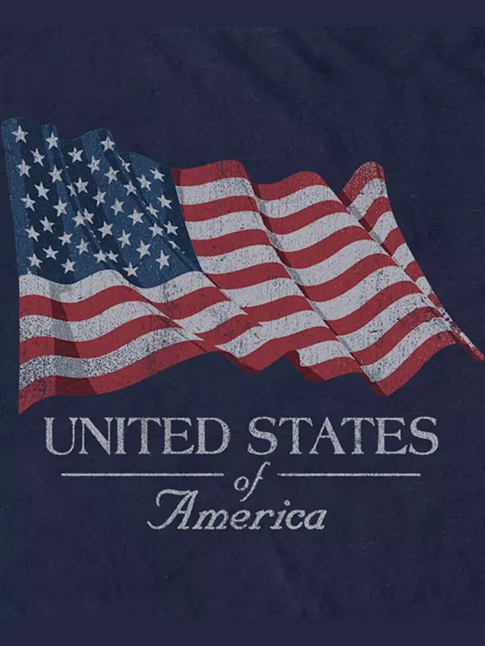 Мужская футболка с коротким рукавом American Flag Generic Additude — изображение 3 из 3, темно-синий
