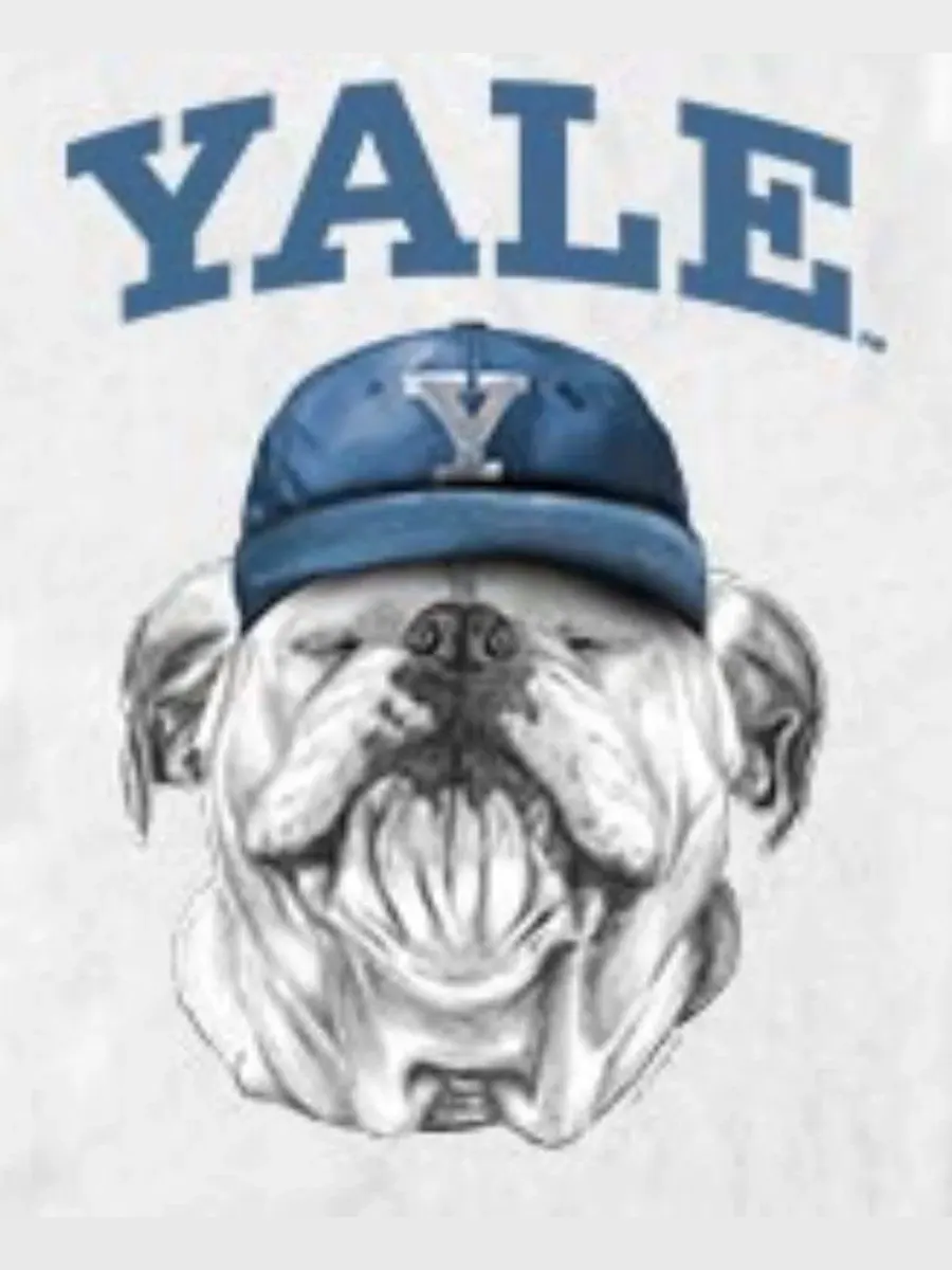 Футболка с графическим принтом Yale Bulldogs Fifth Sun — изображение 3 из 3, белый