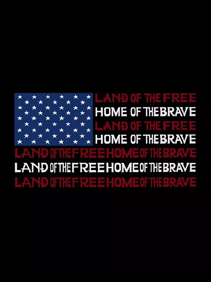 Мужская толстовка с капюшоном Land of The Free American Flag Word Art LA Pop Art — изображение 3 из 3, черный