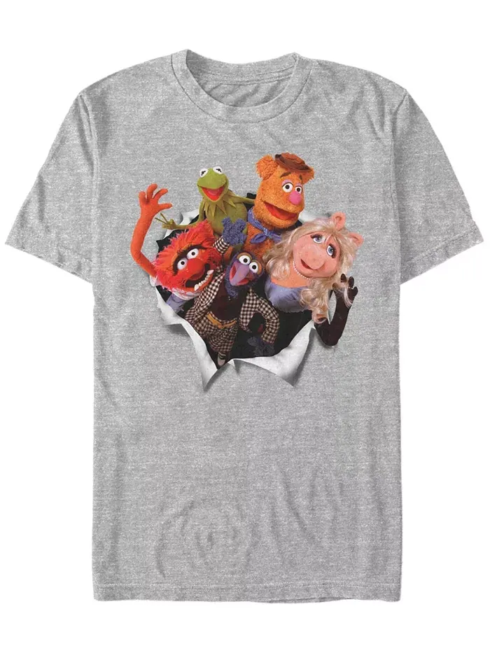 Мужская футболка с коротким рукавом Muppet Breakout Fifth Sun — изображение 1 из 1, серый