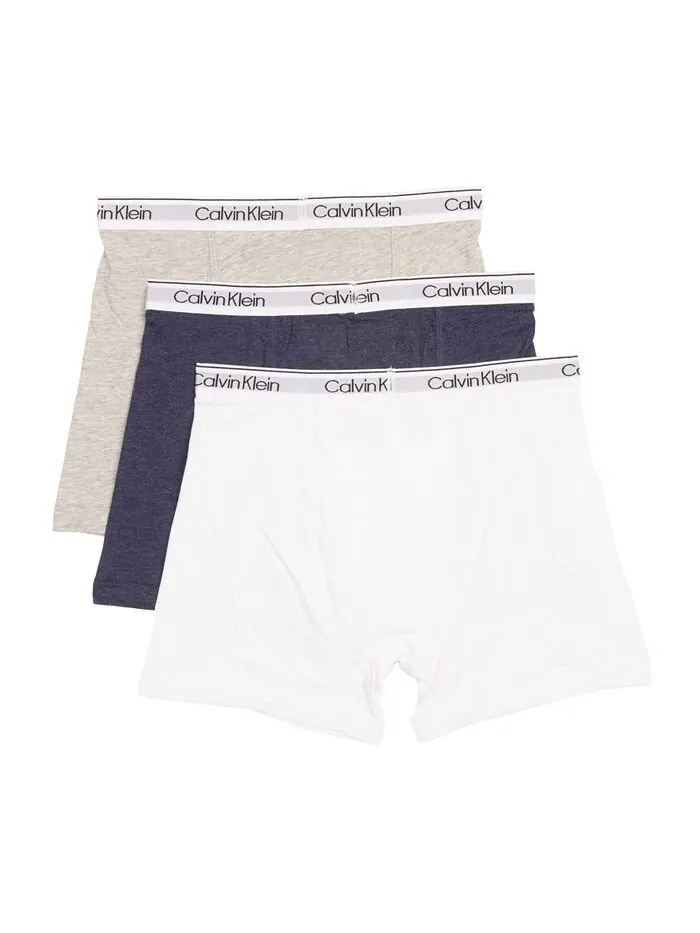 Трусы-боксеры для больших мальчиков, упаковка из 3 шт. Calvin Klein — изображение 2 из 2, серый