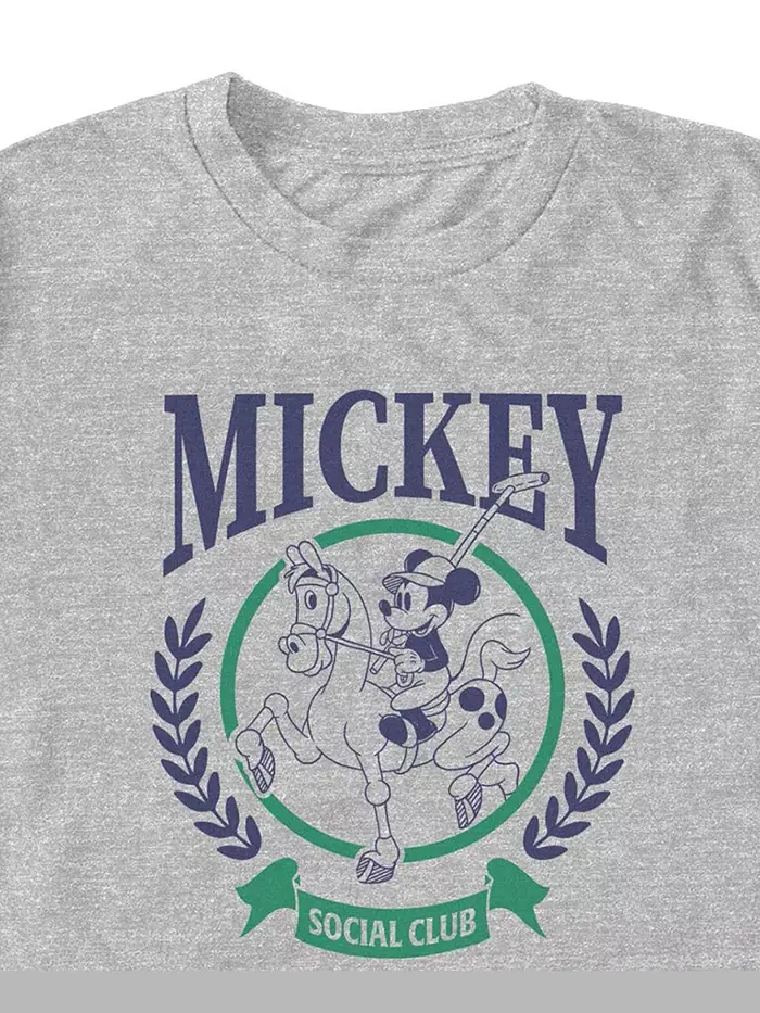 Мужская футболка Mickey Classic с круглым вырезом Fifth Sun — изображение 3 из 3, серый