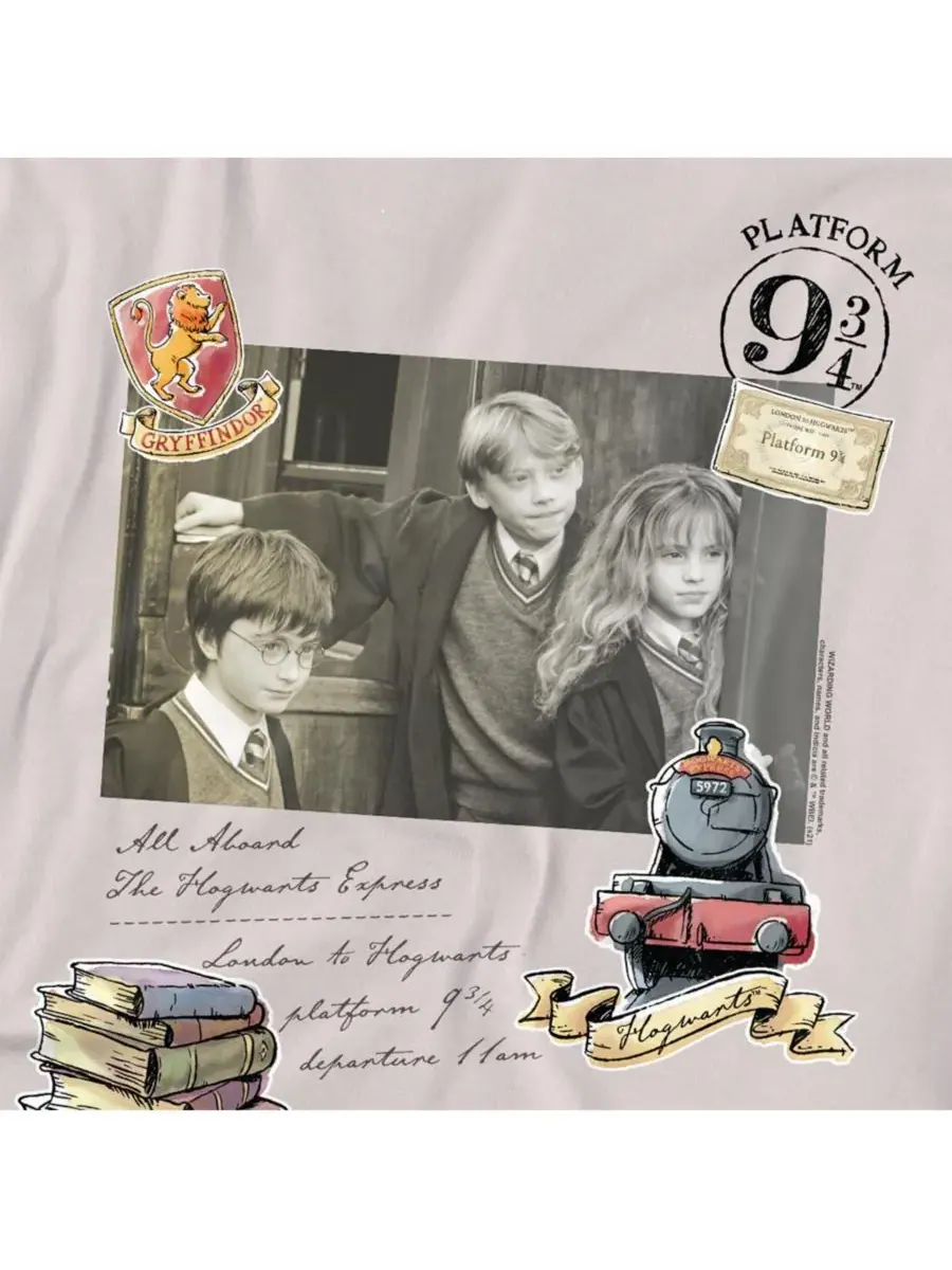 Мужская футболка с изображением платформы 9 и 34 Хогвартс-экспресса Harry Potter — изображение 2 из 3, серебряный