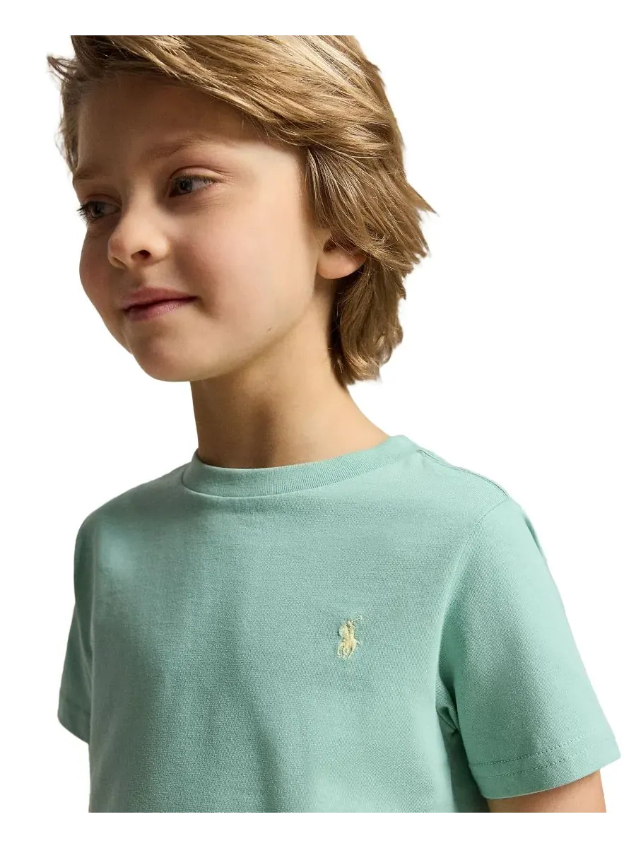 Футболка с круглым вырезом из хлопкового трикотажа для мальчиков 2-7 лет Polo Ralph Lauren — изображение 5 из 5