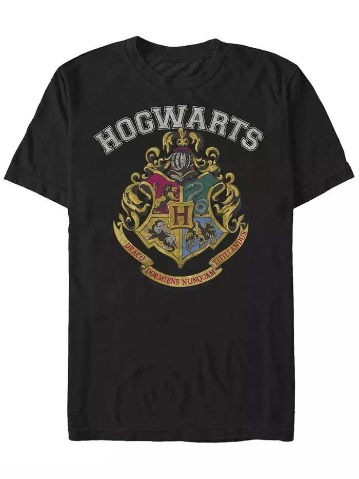 Мужская футболка с короткими рукавами и логотипом Harry Potter Crew Fifth Sun — изображение 1 из 1, черный
