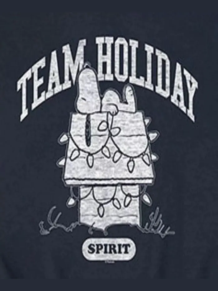 Мужская флисовая кофта Peanuts Team Holiday с длинным рукавом AIRWAVES — изображение 3 из 3, синий