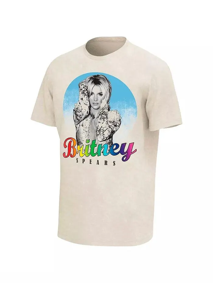 Футболка мужская Oatmeal Britney Spears Rainbow Logo Washed Philcos — изображение 2 из 3