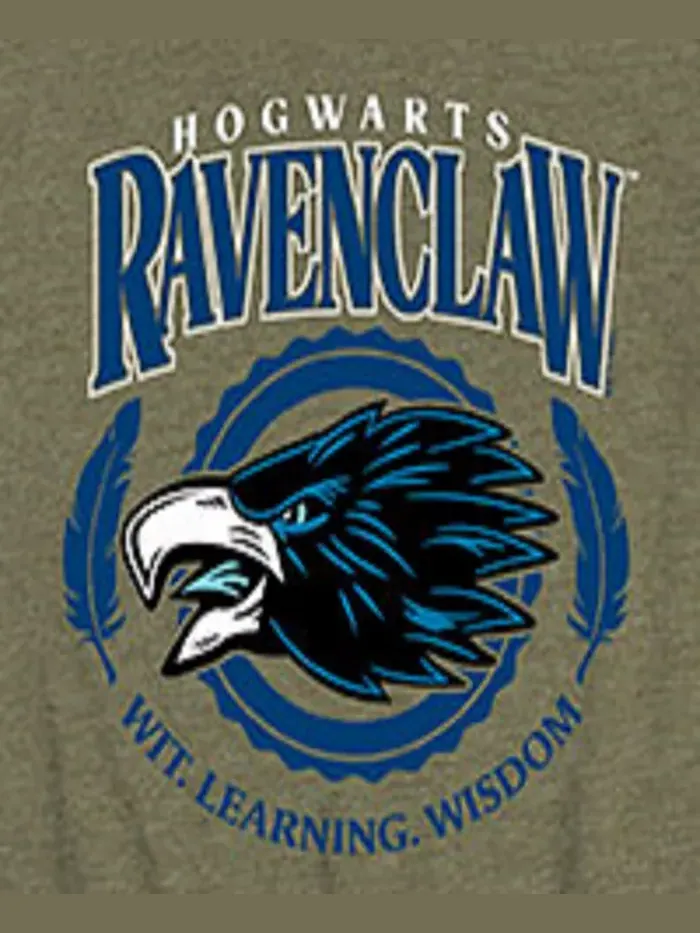 Футболка с принтом Ravenclaw для мальчиков Harry Potter — изображение 3 из 3, зеленый