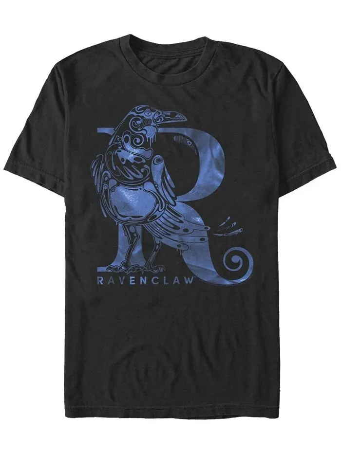Мужская футболка с короткими рукавами и круглым вырезом Ravenclaw Fifth Sun — изображение 1 из 1, черный