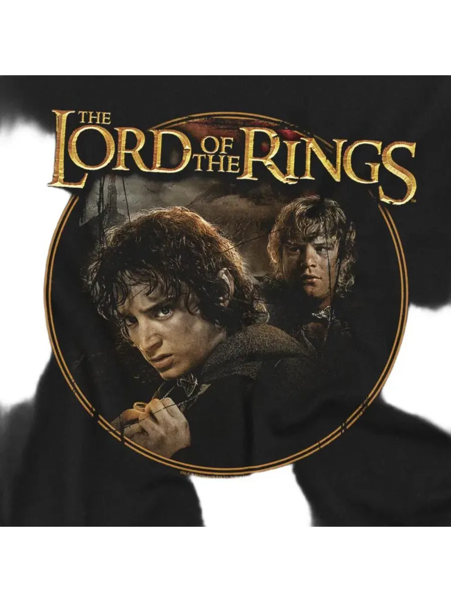 Футболка с принтом The Frodo Sam Band Lord Of The Rings — изображение 2 из 3, черный