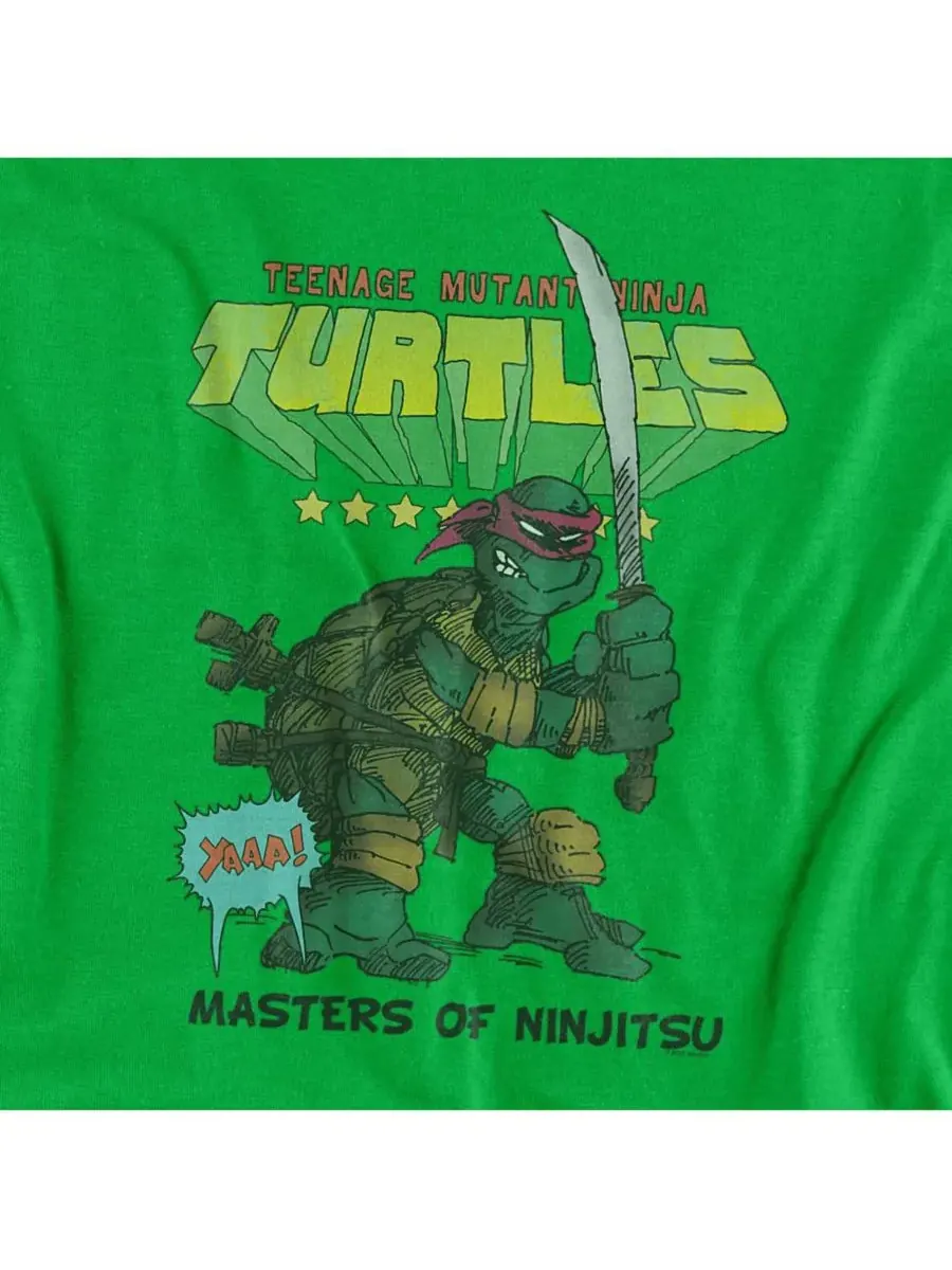 Мужская футболка «Мастера ниндзюцу» Teenage Mutant Ninja Turtles — изображение 2 из 3, зеленый
