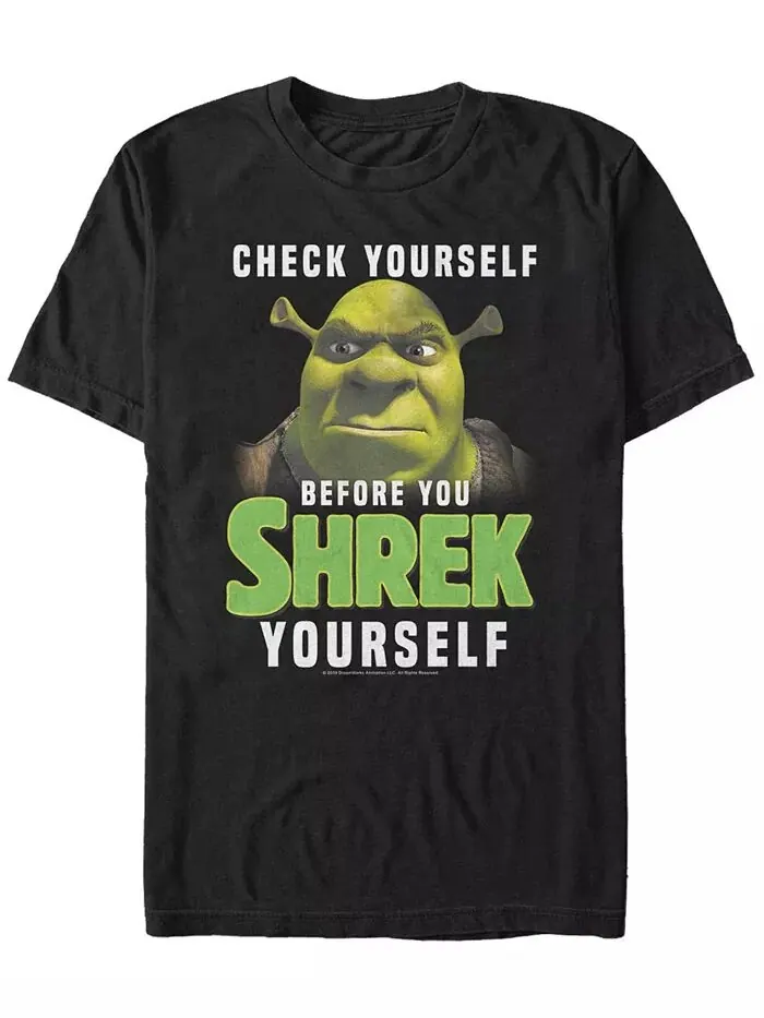 Футболка с коротким рукавом Shrek для мужчин Check Yourself Before You Shrek Yourself Fifth Sun — изображение 1 из 1, черный